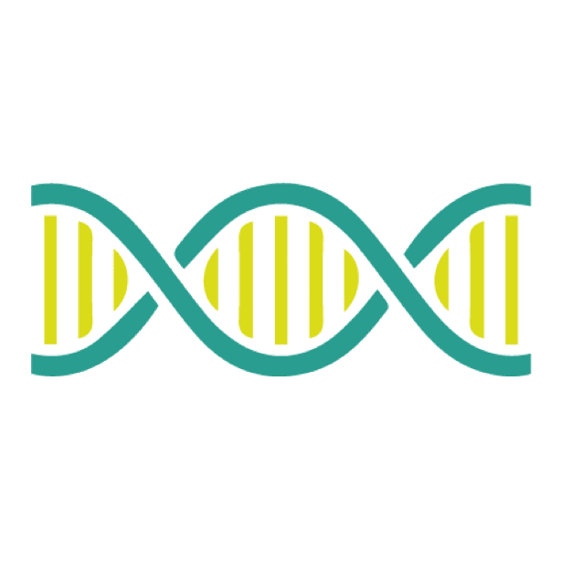 Enigma genomics icon - dna
